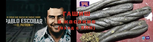 шишки Абаза