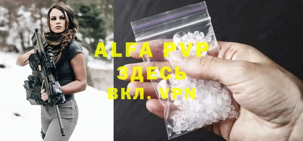 шишки Абаза