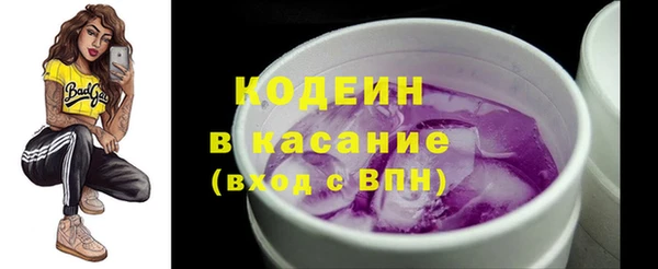 шишки Абаза