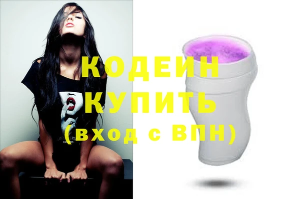 шишки Абаза