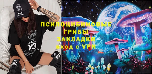 шишки Абаза