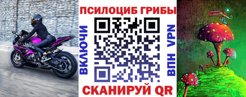 Псилоцибиновые грибы Psilocybine cubensis  Пудож 